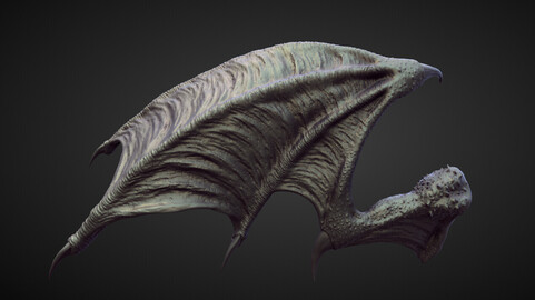 WING10 high poly sculpt