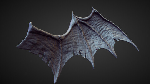 WING16 high poly sculpt