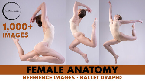 1010+ Female Ballet Reference Images - Draped