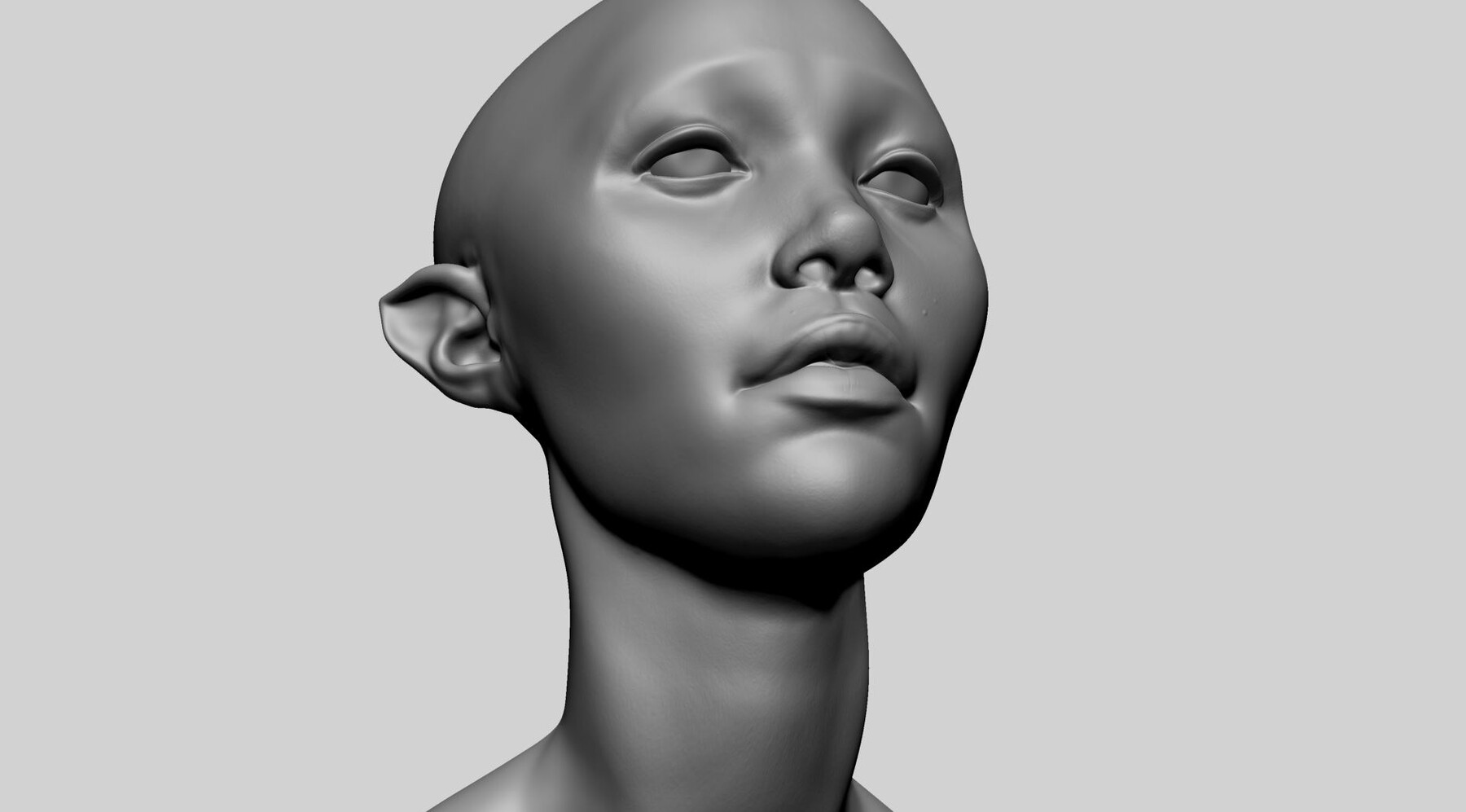 ArtStation - Female Head D | Resources