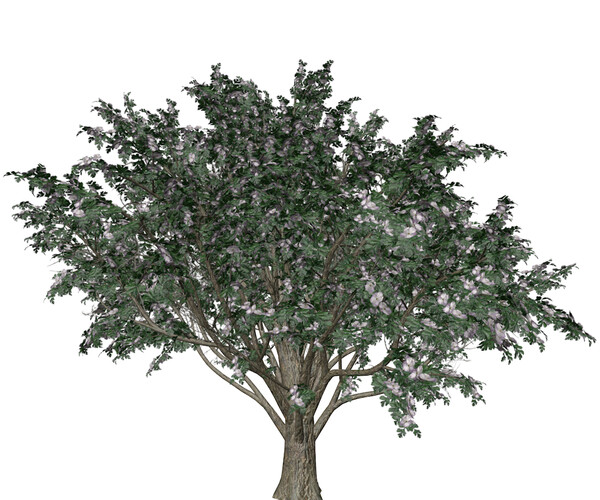ArtStation - Common Hawthorn #05 - High Poly Tree (3D Model) | Game Assets