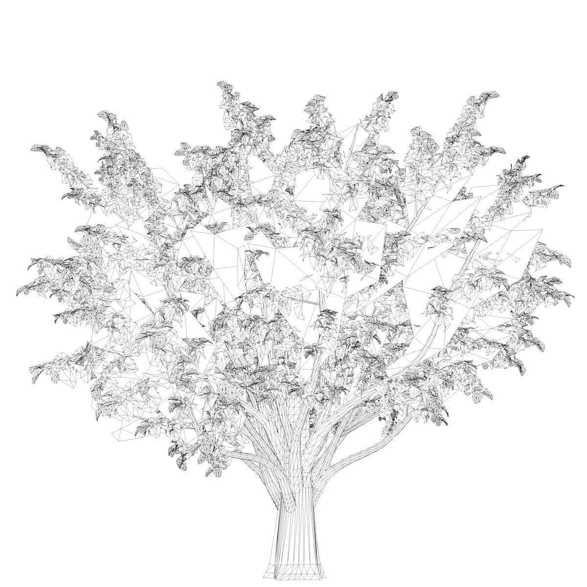 ArtStation - Common Hawthorn #09 - High Poly Tree (3D Model) | Game Assets