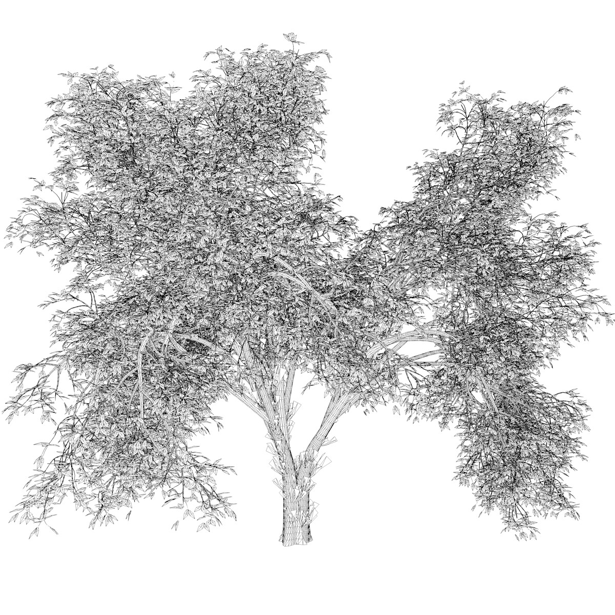 ArtStation - American Elm Tree #07 - High Poly Tree (3D Model) | Game ...