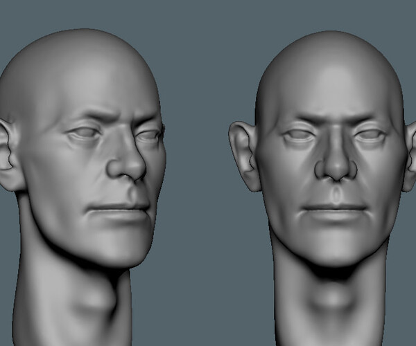 Artstation Speedsculpt Male Head 4 Resources