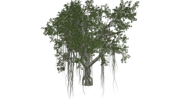 ArtStation - Chinese Banyan Tree #03 - High Poly Tree (3D Model) | Game ...