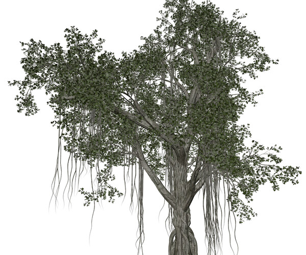 ArtStation - Chinese Banyan Tree #05 - High Poly Tree (3D Model) | Game ...