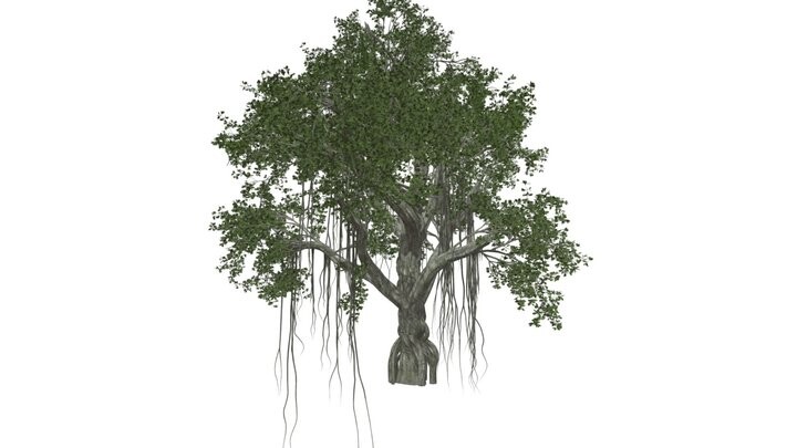 ArtStation - Chinese Banyan Tree #10 - High Poly Tree (3D Model) | Game ...