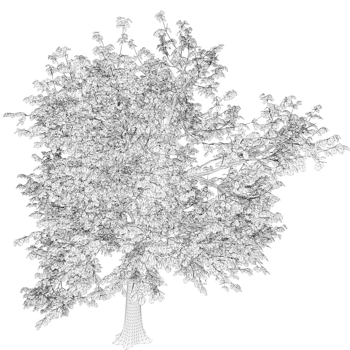 ArtStation - Green Ash Tree #08 - High Poly Tree (3D Model) | Game Assets