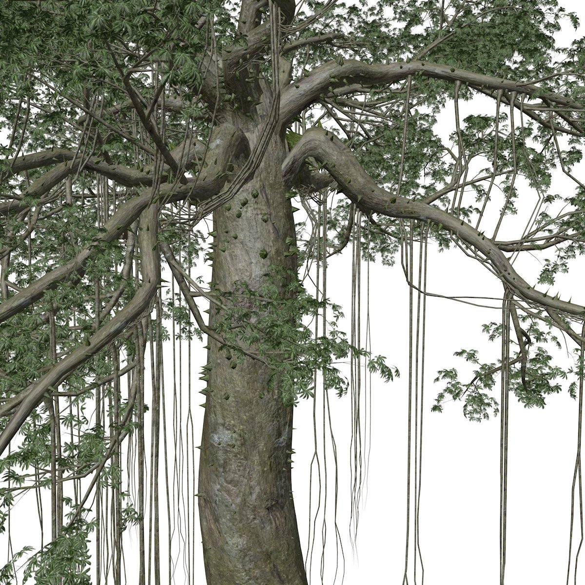 ArtStation - Kapok Tree