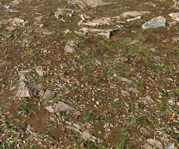 Dirt and Grass (Texture)