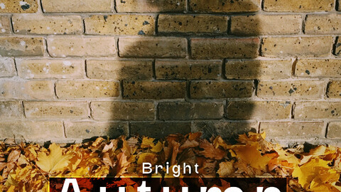 10 Bright Autumn Lightroom Mobile & Desktop Preset Fall preset