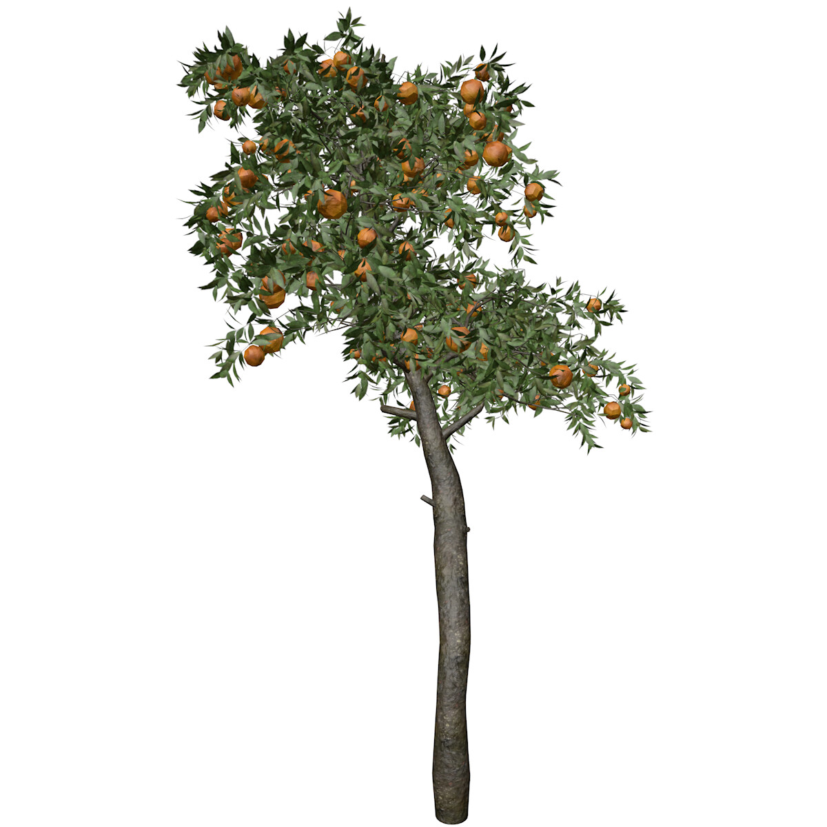 ArtStation - Orange Tree #02 - High Poly Tree (3D Model) | Game Assets
