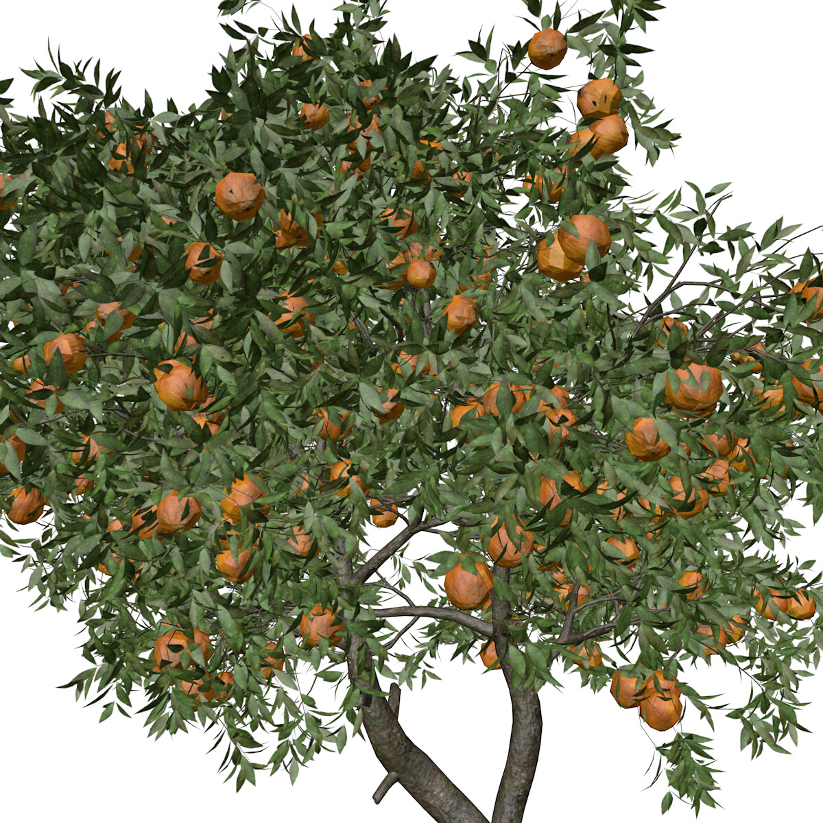 ArtStation - Orange Tree #07 - High Poly Tree (3D Model) | Game Assets