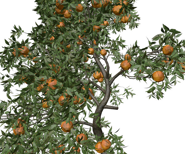 ArtStation - Orange Tree #08 - High Poly Tree (3D Model) | Game Assets