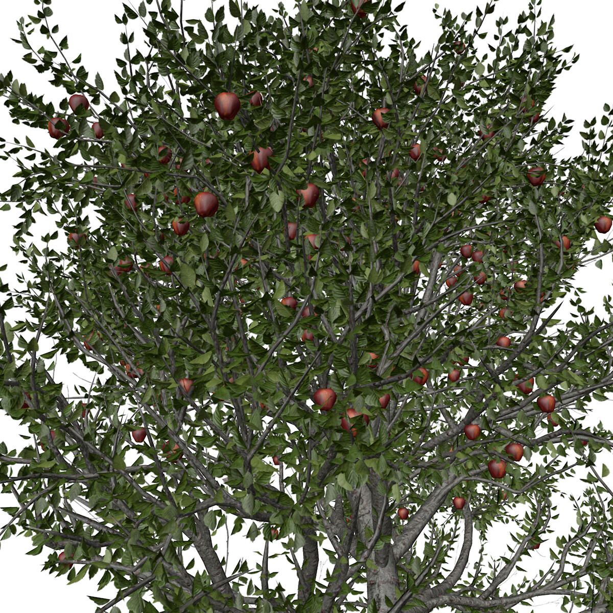 ArtStation Red Delicious Apple Tree 02 High Poly Tree (3D Model