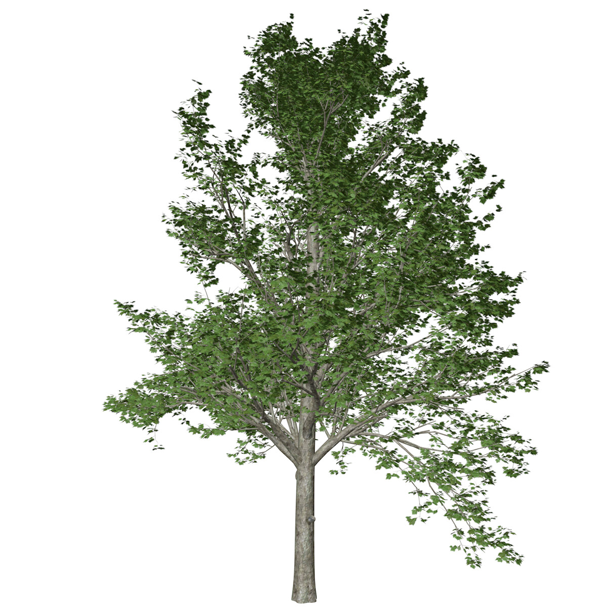 ArtStation - Red Maple Tree #10 - High Poly Tree (3D Model) | Game Assets