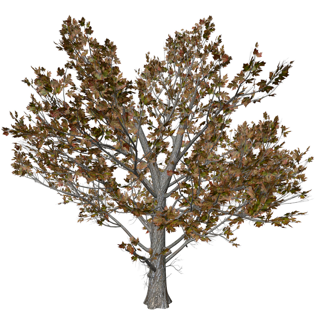 Kapok Tree #09 - 3D Model by AntonioKowatsch