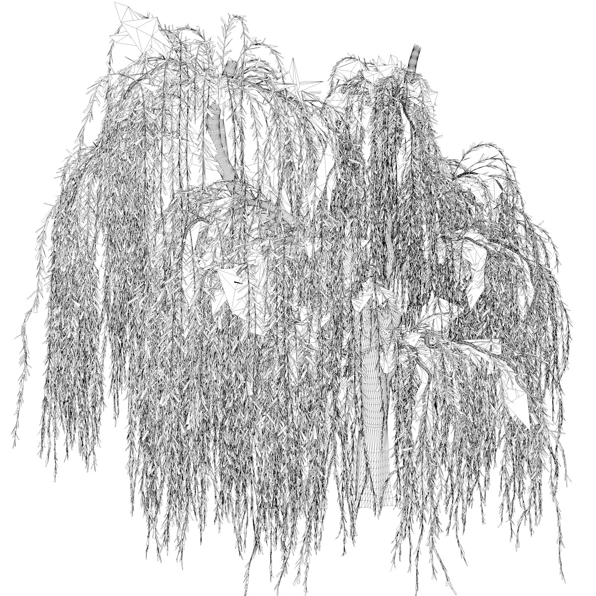 ArtStation Weeping Willow Tree 06 High Poly Tree (3D Model) Game