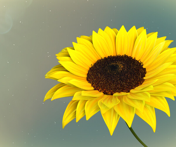 ArtStation 3d Sunflower Animated Resources