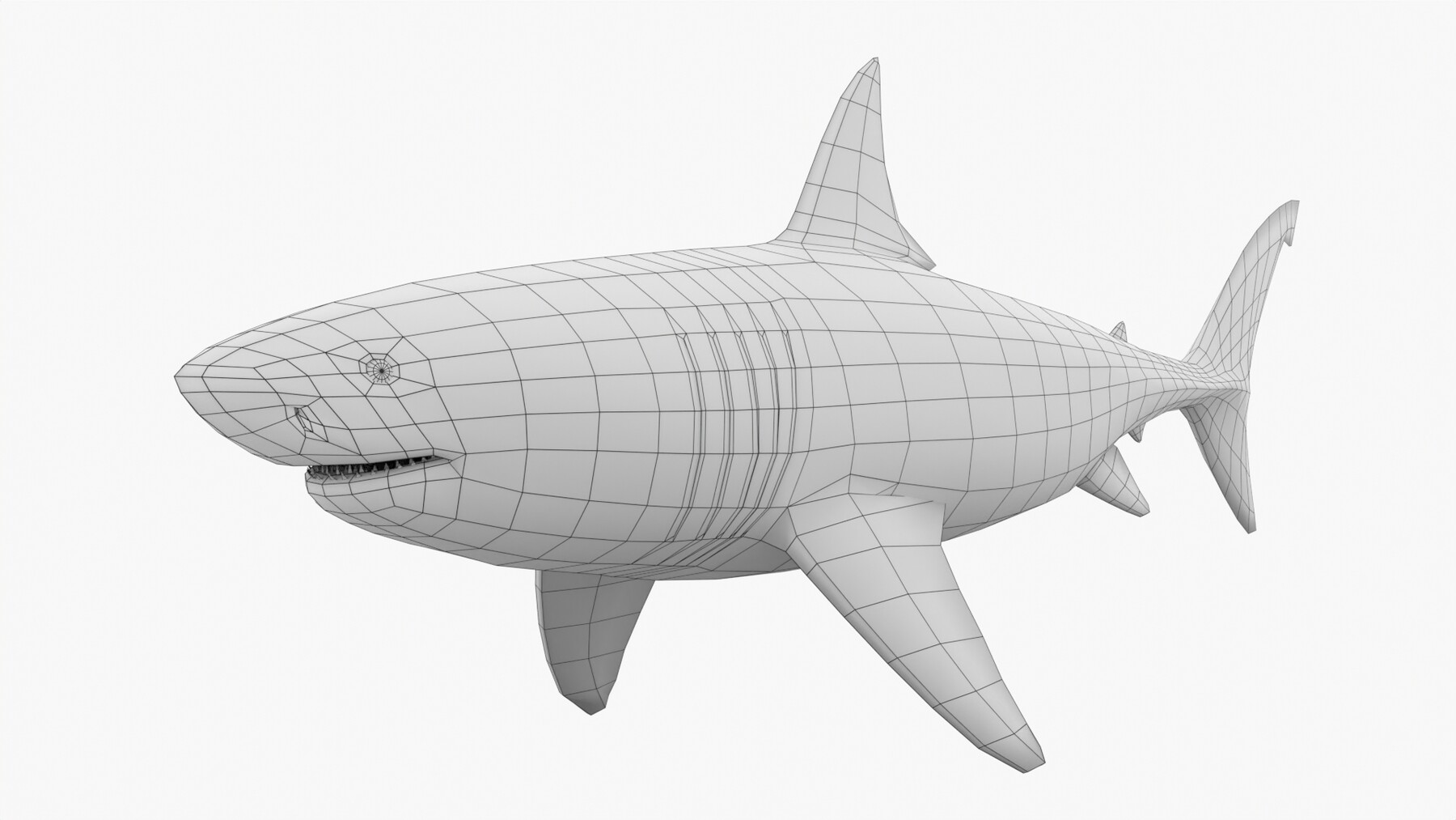 Great White Shark, 3D CAD Model Library