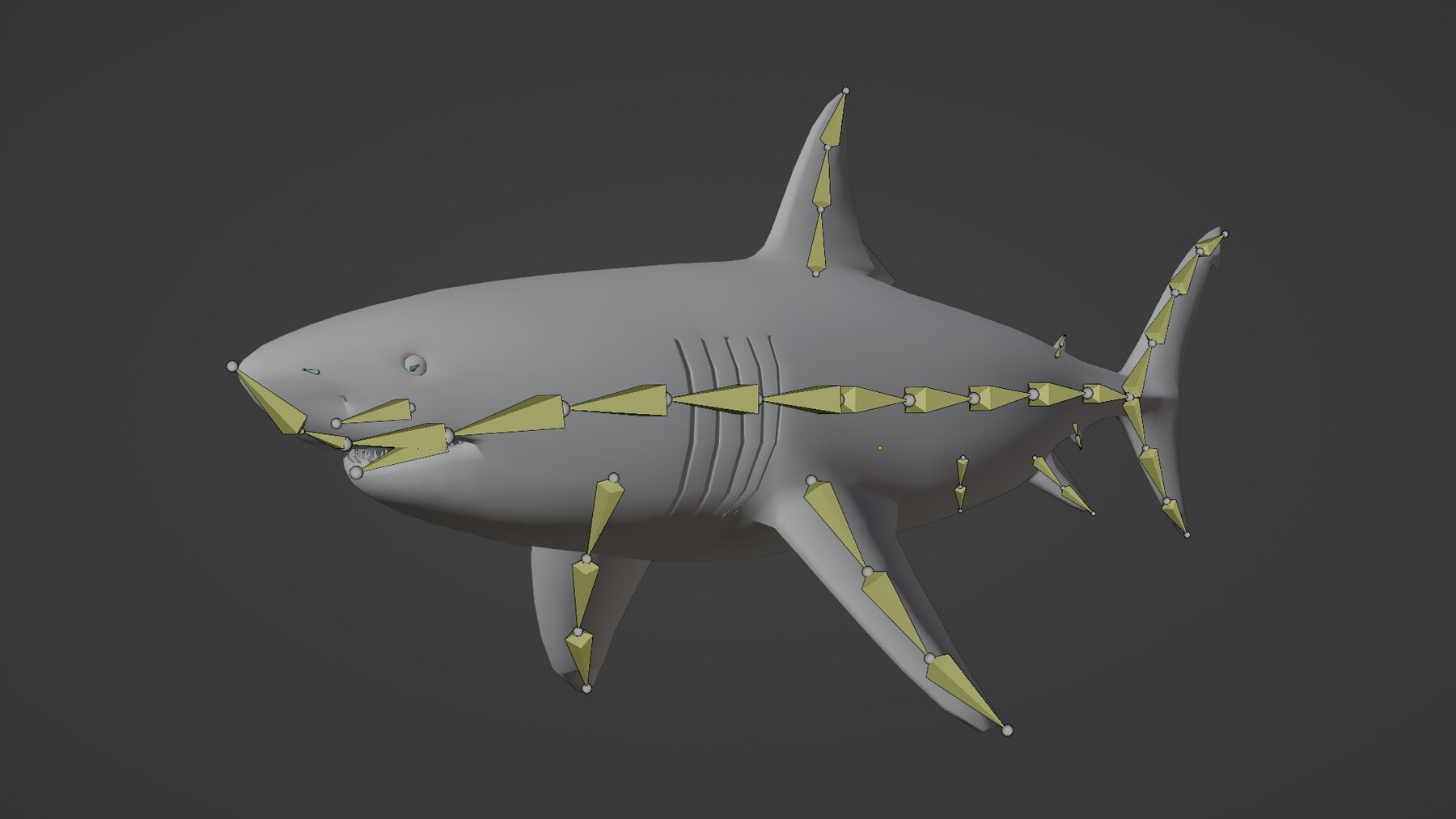 ArtStation - Shark Rigged and Animation in Blender