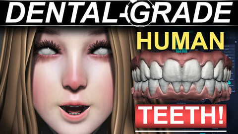 Dentist-Grade Human Teeth Scans - (Young-Adult Male & Female)