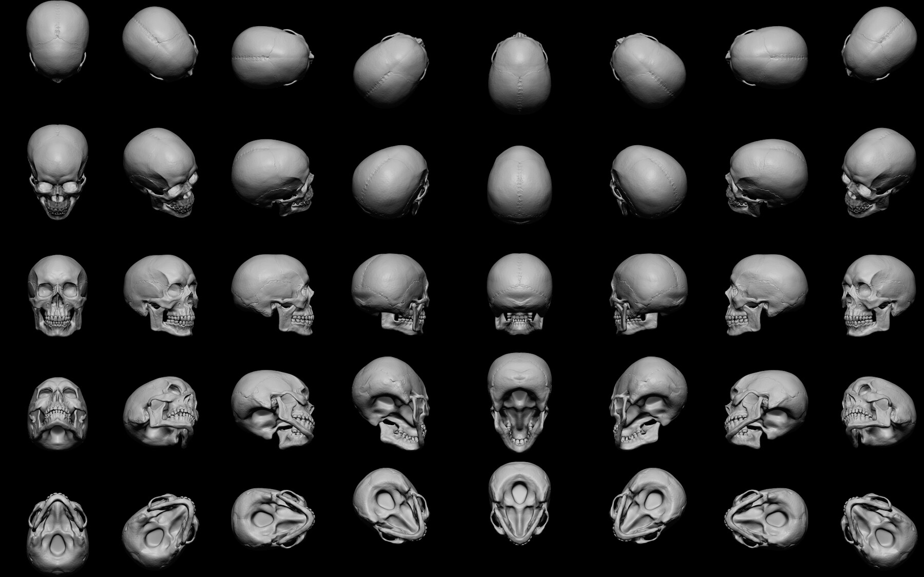 ArtStation - Skull For Zbrush CamView | Resources