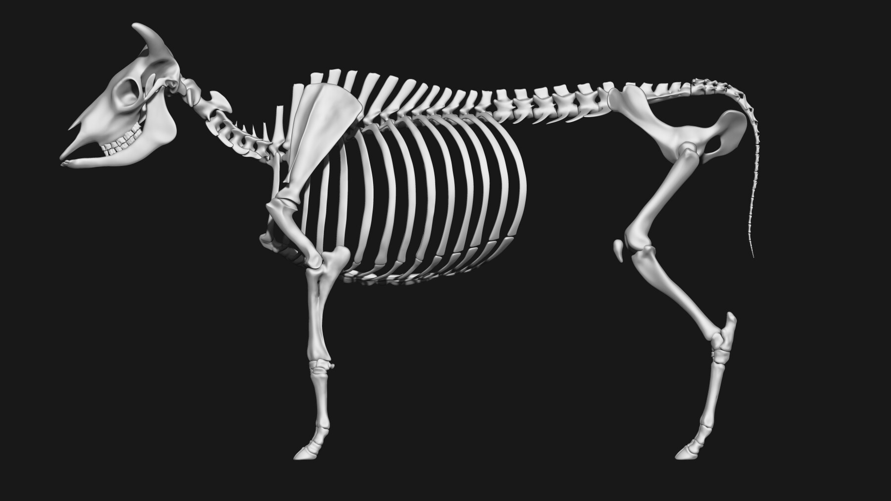 ArtStation Cow skeleton Resources