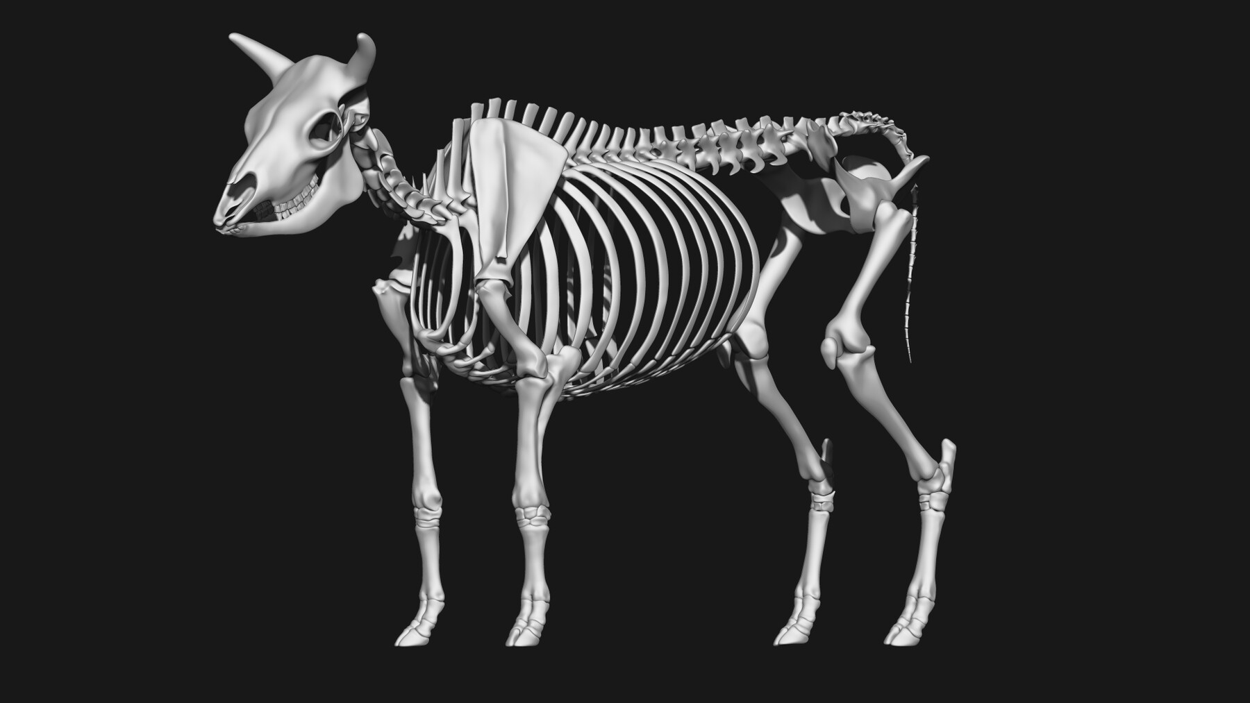 ArtStation Cow skeleton Resources