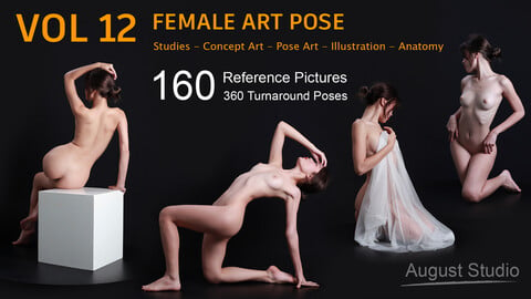 Female Art Pose - Vol 12 - Reference Pictures
