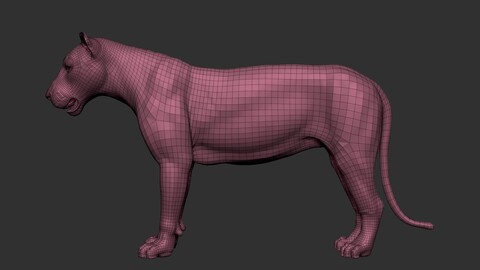 Lion Base Mesh