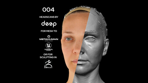 European Female 40s head scan 004