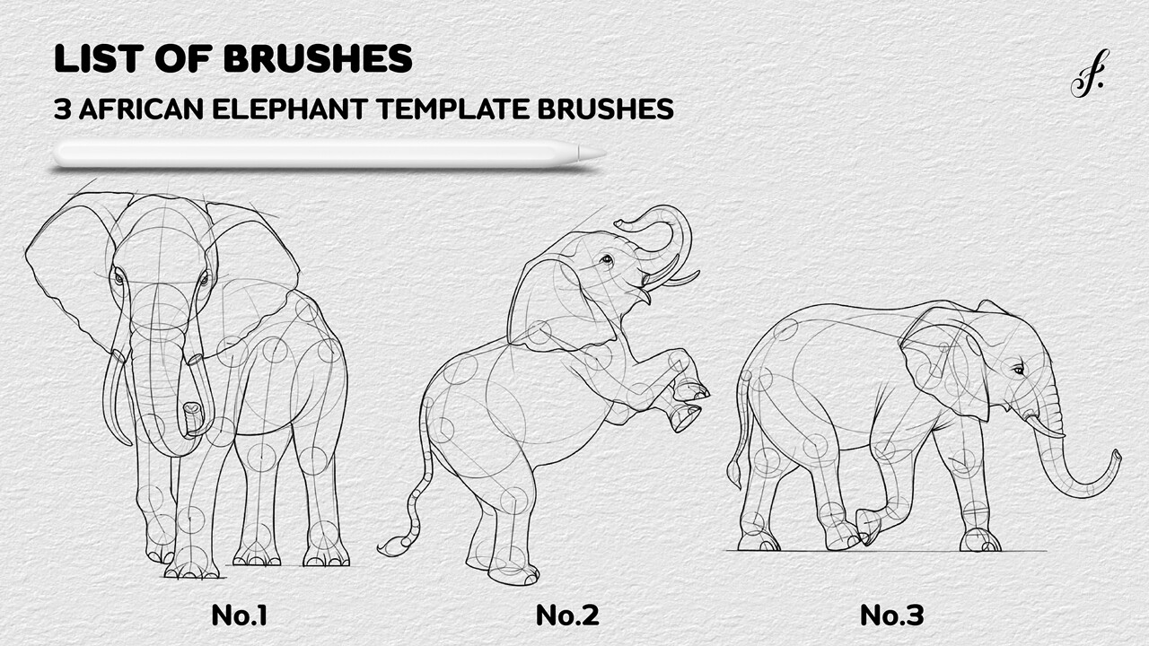 ArtStation Procreate African Elephant Stamp 3 Template Procreate