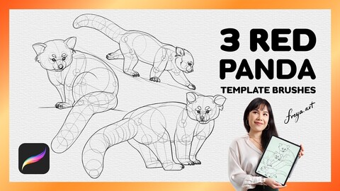 Procreate Red Panda Stamp | 3 Template Procreate Brushes