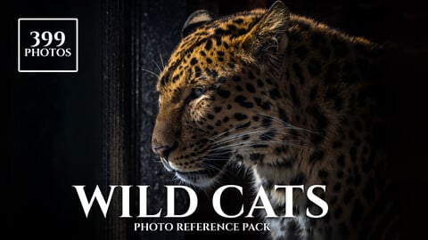 Wild Cats- Photo Reference Pack For Artists 399 JPEGs