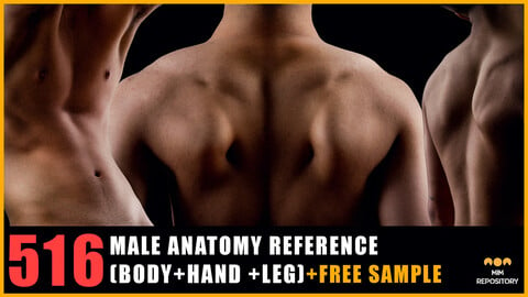 516 Male Anatomy Reference Images (Body Parts_Hand_Leg)