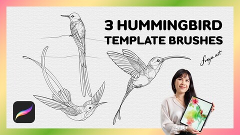 Procreate Hummingbird | 3 Bird Procreate Brushes