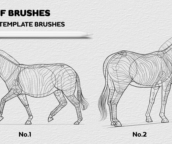 ArtStation Procreate Zebra Stamp 2 Template Procreate Brushes Brushes