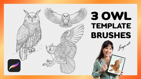Procreate Owl Stamp | 3 Template Procreate Brushes