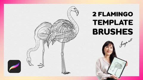 Procreate Flamingo Stamp | 2 Template Procreate Brushes