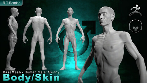 Human Male [ Body/Skin Basemesh ] Skinny