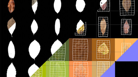 32x British Forest Leaves