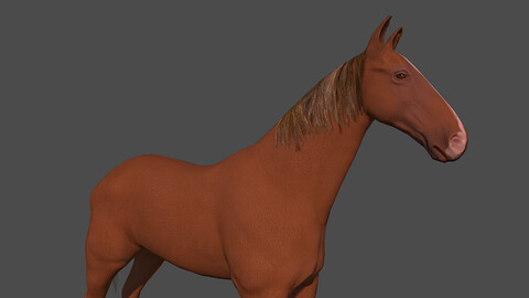 Horse 3d luci