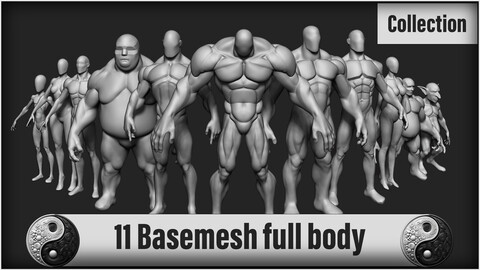 11 Basemesh full body