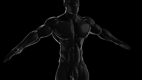 Male Bodybuilder 3D model with Briefs and Genitals