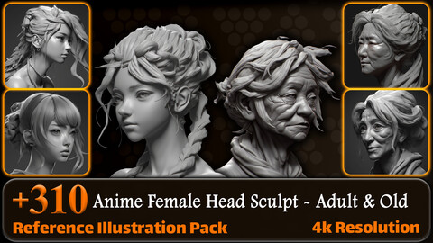 310 Anime Female Head Sculpt - Adult and Old Reference Pack | 4K | v.25