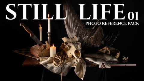 Still Life- Photo Reference Pack For Artists 230 JPEGs