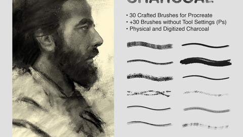 Fenerov Charcoal Brushes for Procreate