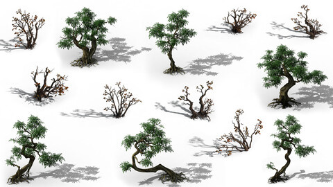 Tree, Plant, Forest Environment Construction Kit Game Assets