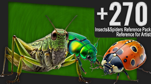 +270 Insects & Spiders Reference Pack